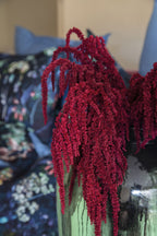 Mezza - Poveste florală în lumini de seară